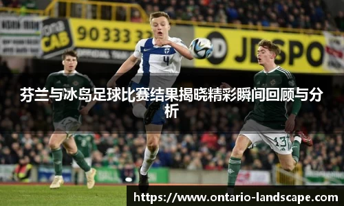 芬兰与冰岛足球比赛结果揭晓精彩瞬间回顾与分析