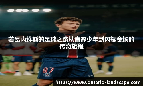 威廉希尔体育