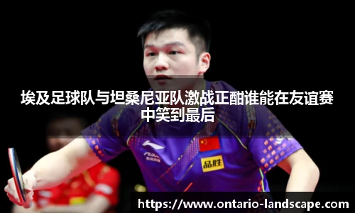 埃及足球队与坦桑尼亚队激战正酣谁能在友谊赛中笑到最后
