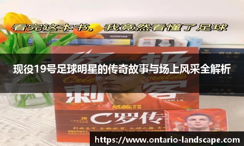 现役19号足球明星的传奇故事与场上风采全解析