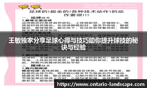 威廉希尔体育