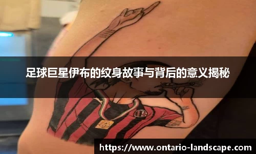 威廉希尔williamhill官方网站