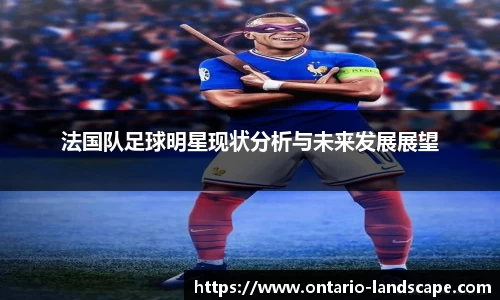 法国队足球明星现状分析与未来发展展望