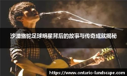 沙漠骆驼足球明星背后的故事与传奇成就揭秘