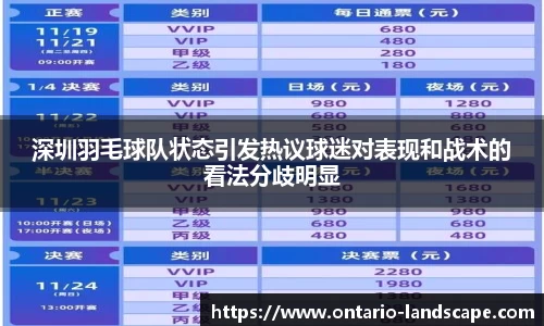 深圳羽毛球队状态引发热议球迷对表现和战术的看法分歧明显