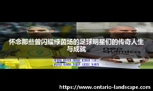 怀念那些曾闪耀绿茵场的足球明星们的传奇人生与成就