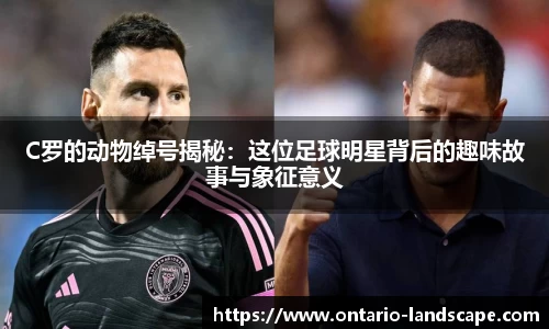 williamhill威廉希尔