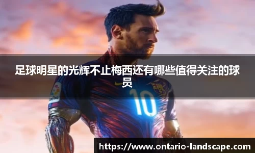 威廉希尔williamhill官方网站